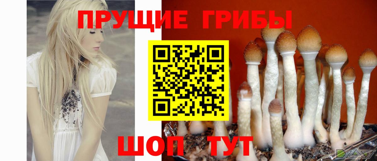Кимовск  Галлюциногенные грибы GOLDEN TEACHER  Вход с VPN 